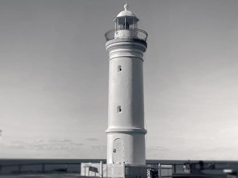 Photograph