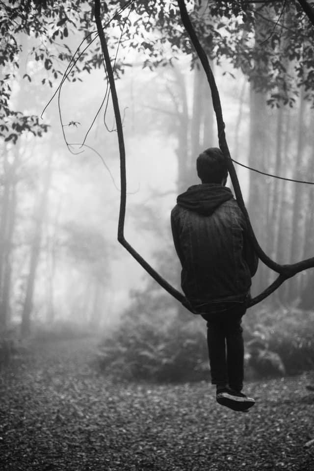 In the trees